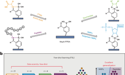 A versatile nanopore identifies four classes of analytes simultaneously