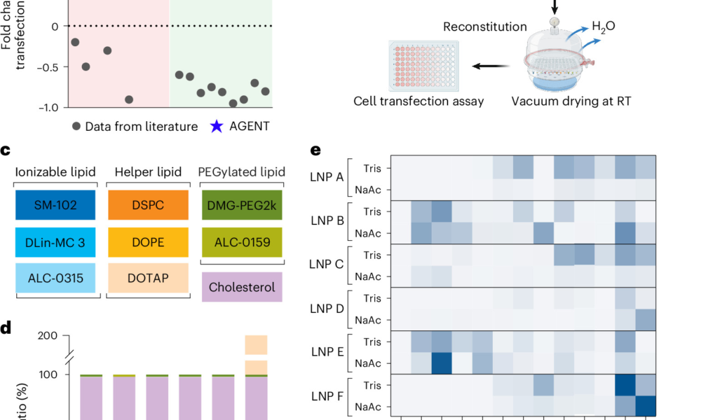Accelerated discovery of thermostable mRNA–lipid nanoparticle vaccines using data-efficient AI