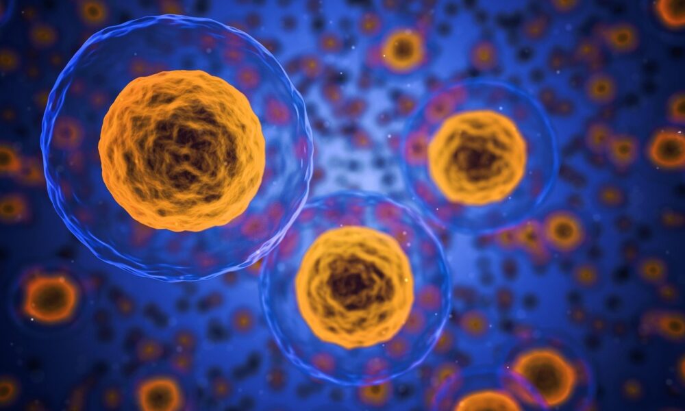 AI-powered barcode unmasks ‘zombie cells’ in aging tissue