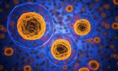 AI-powered barcode unmasks ‘zombie cells’ in aging tissue