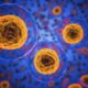 AI-powered barcode unmasks ‘zombie cells’ in aging tissue
