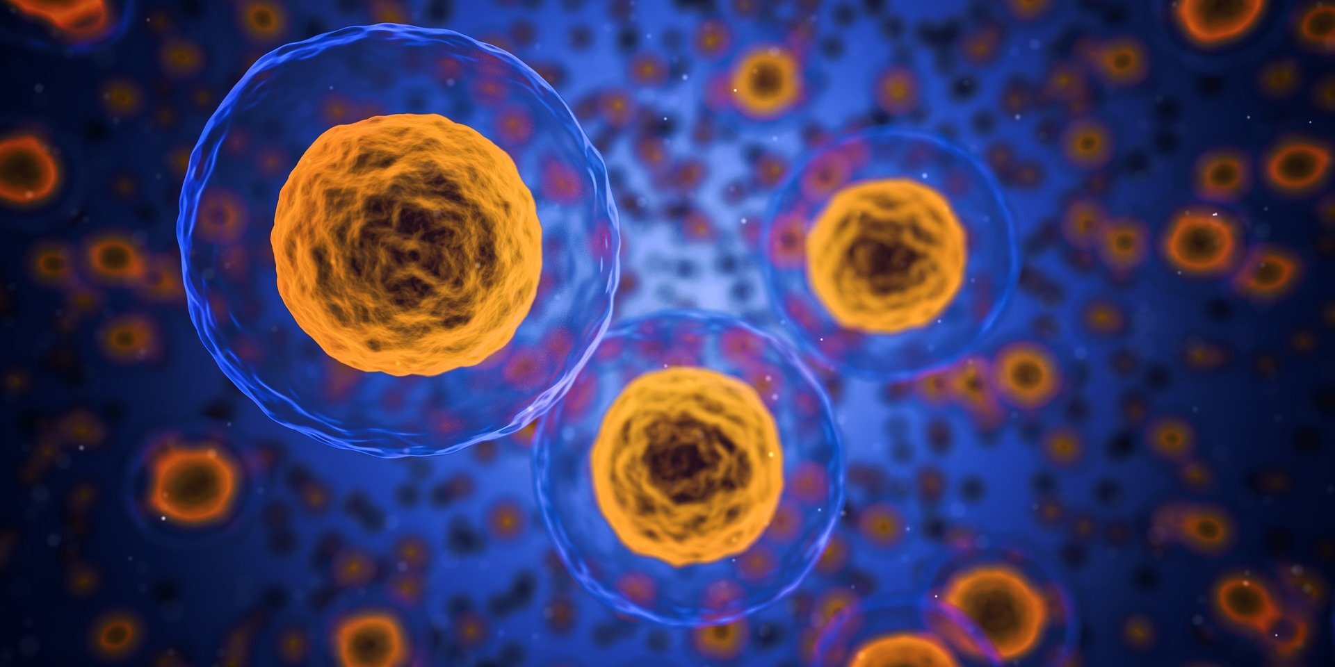 AI-powered barcode unmasks ‘zombie cells’ in aging tissue