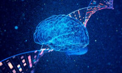AI Tool Helps Link BRSK1 Variants to Neurodevelopmental Disorder