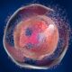 ai3Bio emerging from stealth to ‘take the gun out of the hands of the immune system’