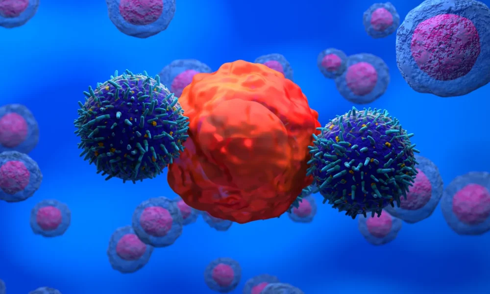 An ‘off-the-shelf’ CAR-T therapy from Adicet shows promise against lupus