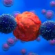 An ‘off-the-shelf’ CAR-T therapy from Adicet shows promise against lupus