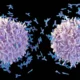 Autoimmune CAR-T faces tough questions after Novartis, Bristol Myers study halts