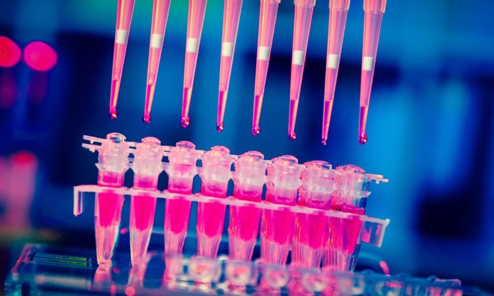 Boehringer and Envisagenics to develop precision cancer therapies