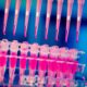 Boehringer and Envisagenics to develop precision cancer therapies