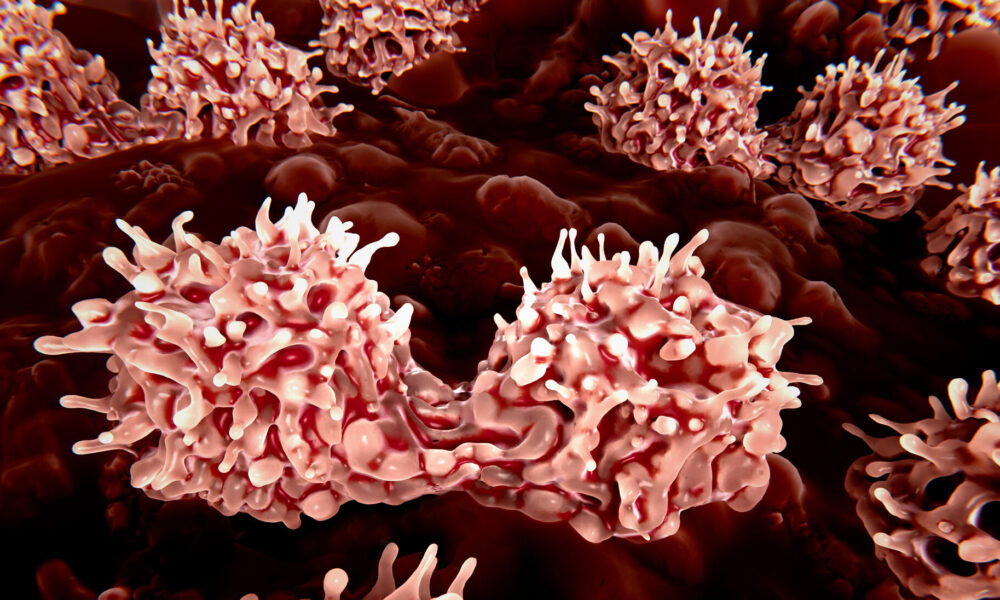 Bone Marrow-on-a-Chip Model Offers New Window Into Immune Cell Development and Behavior