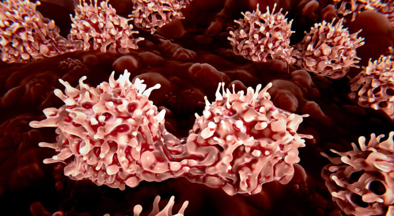 Bone Marrow-on-a-Chip Model Offers New Window Into Immune Cell Development and Behavior