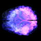 BrainChild Bio targets deadly pediatric brain cancer with $116M series A