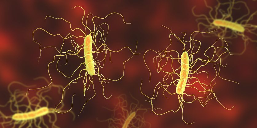 C. difficile Have Lasting Effects on the Infant Gut, Challenging Long-Held Assumption
