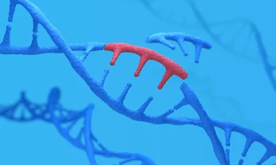 Cellectis quits CAR-T and pivots to ‘in vivo’ gene editing