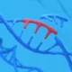 Cellectis quits CAR-T and pivots to ‘in vivo’ gene editing