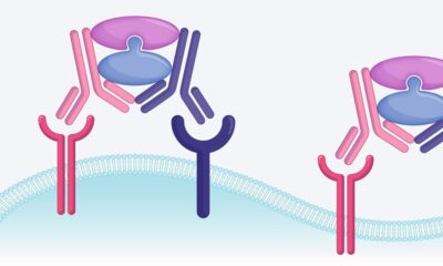 Click chemistry platform enhances ADC tumour targeting