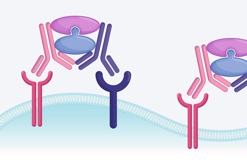 Click chemistry platform enhances ADC tumour targeting