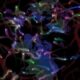 CloudScope Enables Continuous Remote Monitoring of Brain Activity in Freely Moving Mice
