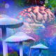 Deep dive: Psychedelics back on FDA’s doorstep