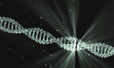 Eight-letter DNA alphabet is accurately transcribed by a natural enzyme