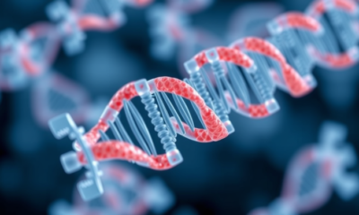 Engineered mini CRISPR enzyme gets a 60-fold power boost for gene editing