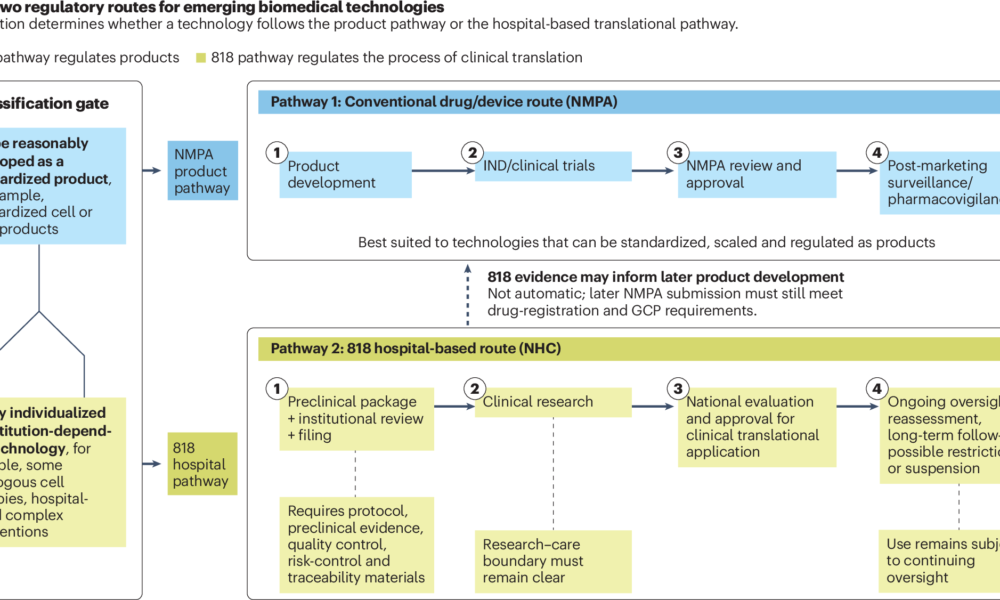 Ensuring safety and accountability in China’s biomedical translation system