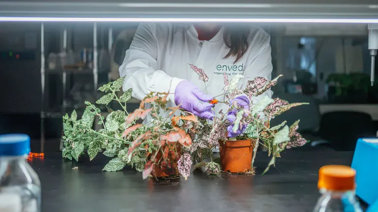 Enveda, an AI drugmaker, banks $311M in venture funding