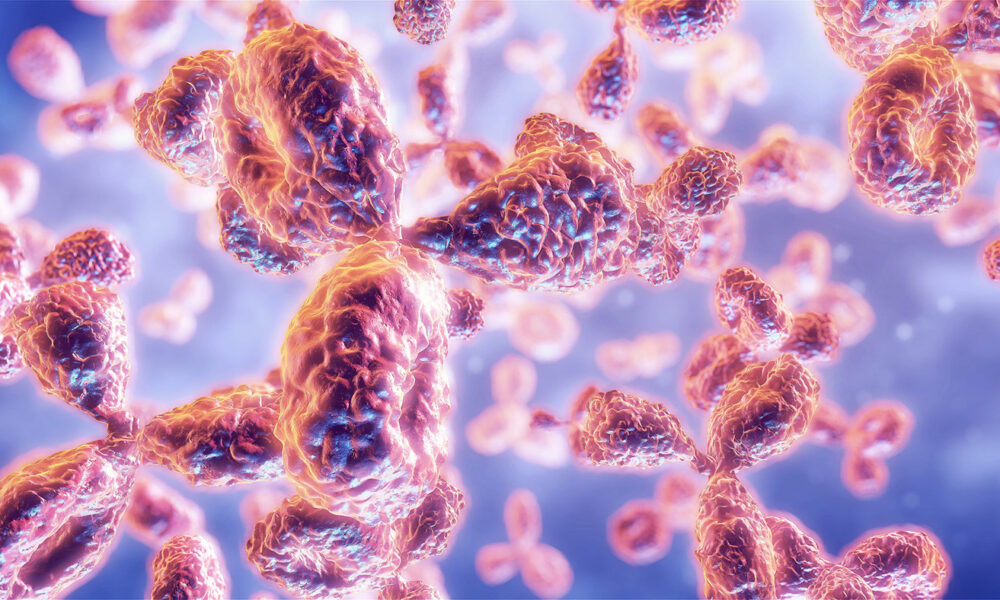 Ginkgo Datapoints, Apheris Announce Founding Members of Antibody Developability Consortium