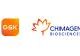 GSK wagers $750m on Chimagen multiple myeloma therapy