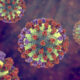 H5N1 Spreads Among Australian Wildlife as Flu Season Ramps Up
