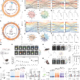 Lipid nanoparticles optimized for large RNA cargo and tissue targeting enhance in vivo genome editing