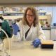 Micro-Bladder Model Demonstrates How Phage Therapy Could Help to Reduce Recurrent UTIs
