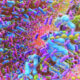 Microbiome Patterns Vary Among Individuals with Different Cancer Types and Onset Age