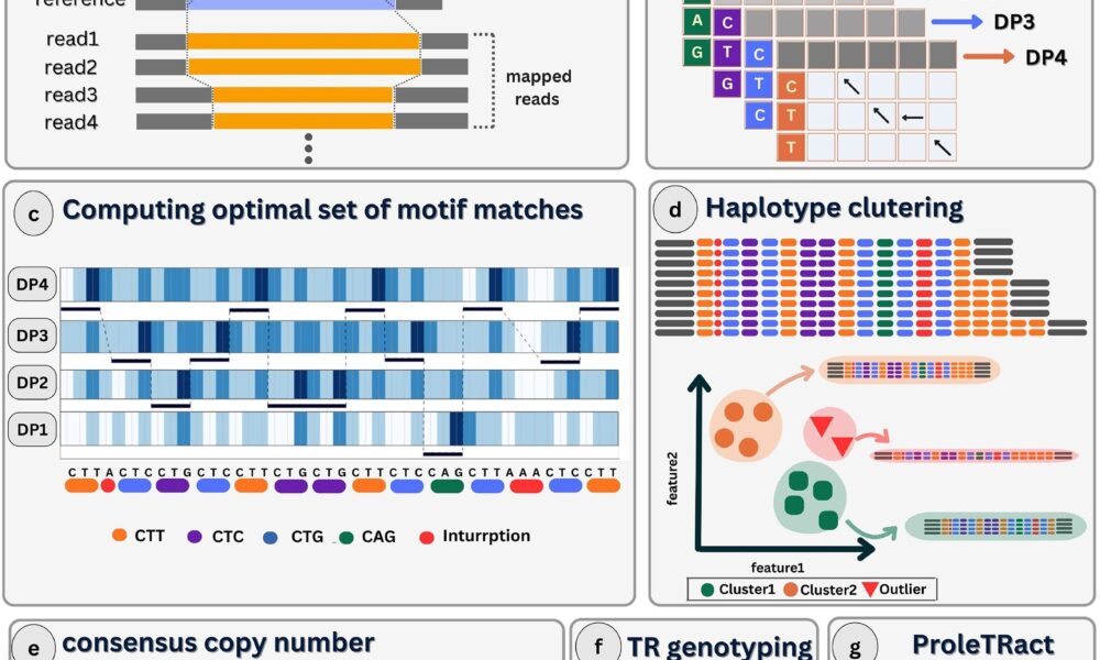 New bioinformatics tools help identify pathogenic variants in the genome