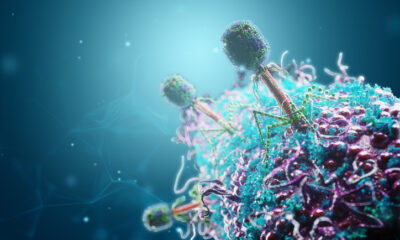 New CRISPR-Based Tool Enables Genome-Wide Mutagenesis of Bacteriophages