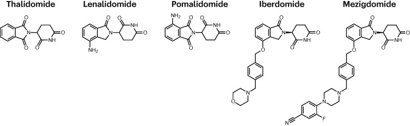 Newest glue degrader nabs multiple myeloma approval