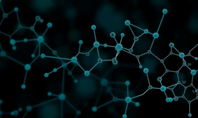 Open-Source Machine Learning Workflow Accelerates Discovery of Small-Molecule PD-L1 Cancer Inhibitors