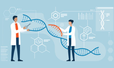 Prime Assembly Expands Genome Editing with Precise, Large-Scale DNA Integration
