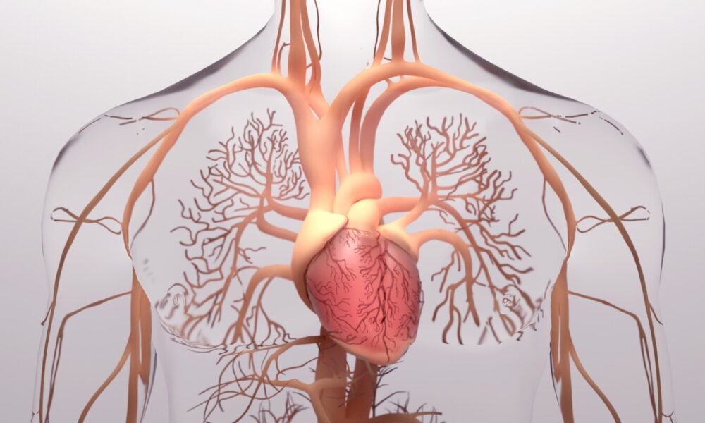 Roivant’s pulmonary hypertension drug shines with ‘blowout’ Phase 2 data