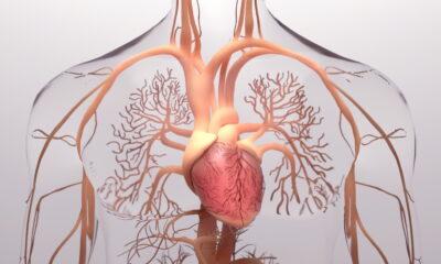 Roivant’s pulmonary hypertension drug shines with ‘blowout’ Phase 2 data