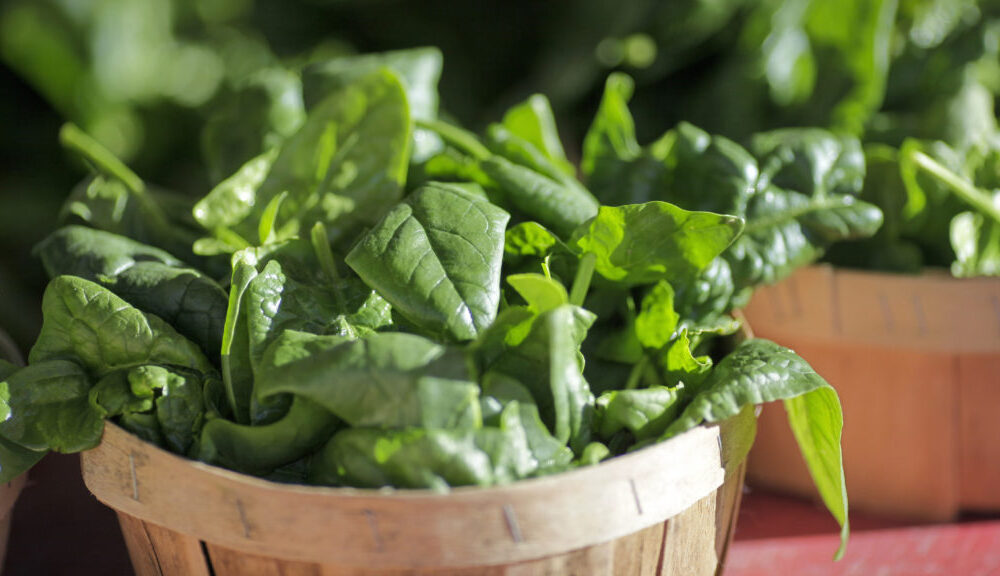 STAT+: FDA takes another look at botanical drugs