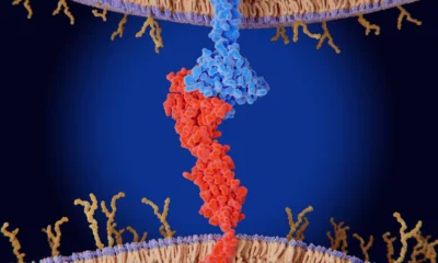 Summit, Akeso look to shed PD-1/VEGF drug doubts with latest study results