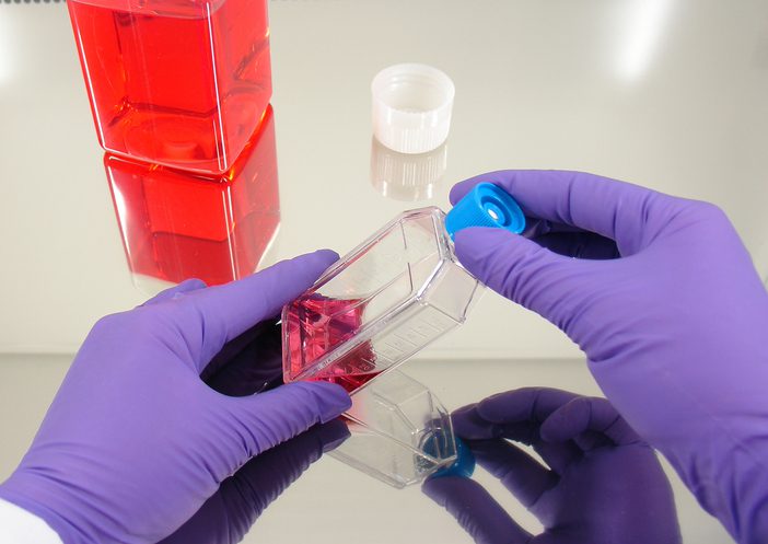 Transcenta Therapeutics and WuXi Biologics Team Up to Accelerate Commercialization of HiCB Technology