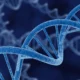 UniQure tumbles with latest data for Huntington’s gene therapy