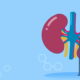 Vertex opens up larger kidney disease opportunity with mid-stage readout