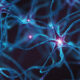 Why Does a Particular Genetic Variant Lead to Accelerated Huntington Disease Development?