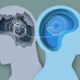 Xenon tumbles on voluntary psychiatry hold, but analysts confident in $2B epilepsy opportunity