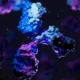A cancer drug worked in the lab — but not how scientists thought