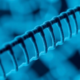 A Flawed Genetic Reference Could Trigger False Alarms in Whole-Genome Screening