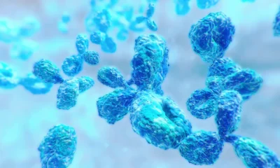 A new startup takes aim at a suspected culprit in autoimmune disease